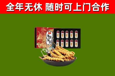 毕节回收冬虫夏草价格